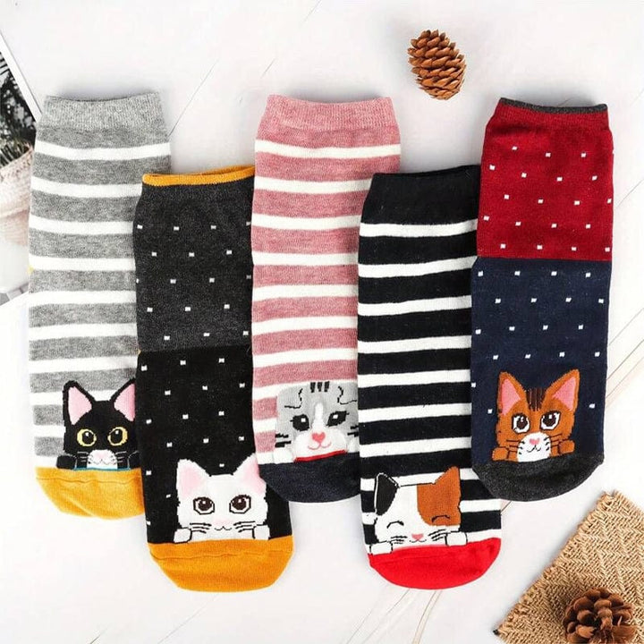 Felina 5 Pairs Socks Pack
