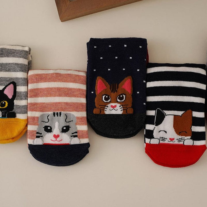 Felina 5 Pairs Socks Pack