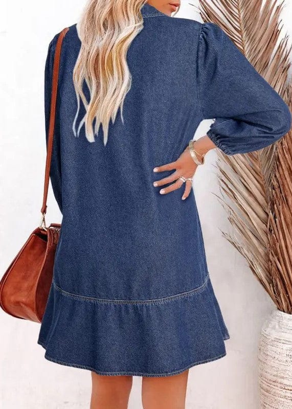 Casey Denim Dress